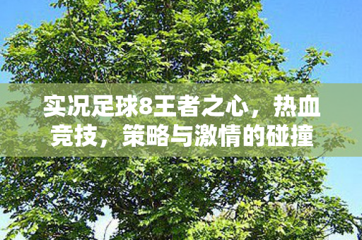 实况足球8王者之心图片