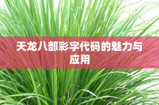 天龙八部彩字代码的魅力与应用图片