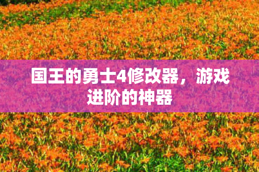 国王的勇士4修改器图片