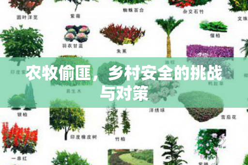 乡村安全的挑战与对策图片