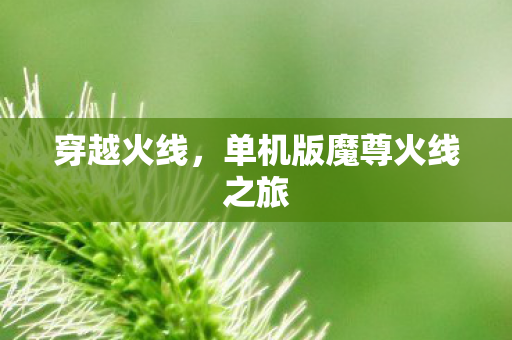 单机版魔尊火线之旅图片