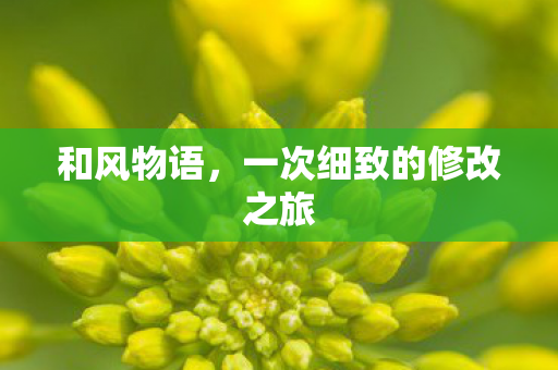 一次细致的修改之旅图片