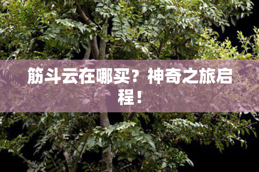 筋斗云在哪买图片