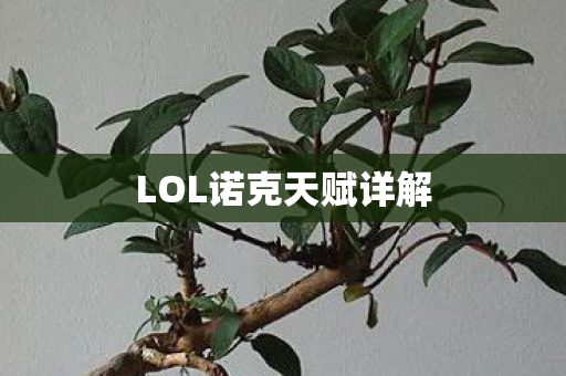 LOL诺克天赋详解图片