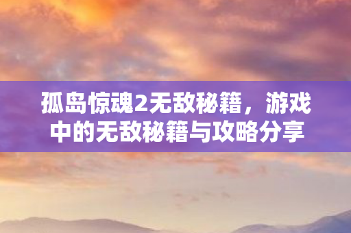 游戏中的无敌秘籍与攻略分享图片