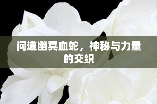 神秘与力量的交织图片