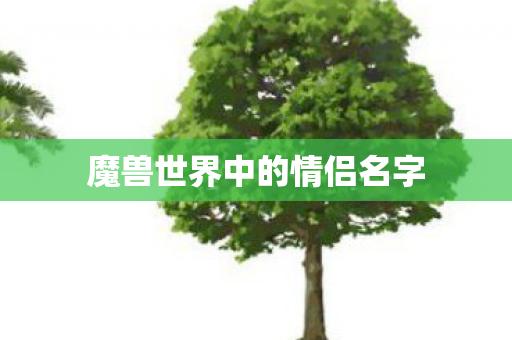 魔兽世界中的情侣名字图片