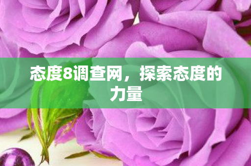 探索态度的力量图片