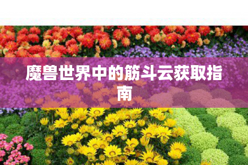 魔兽世界中的筋斗云获取指南图片