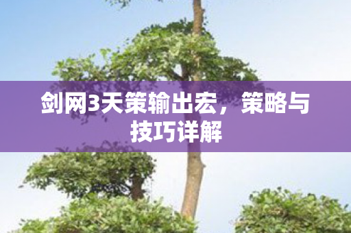 剑网3天策输出宏图片
