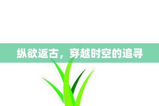 穿越时空的追寻图片