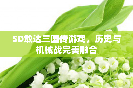 历史与机械战完美融合图片