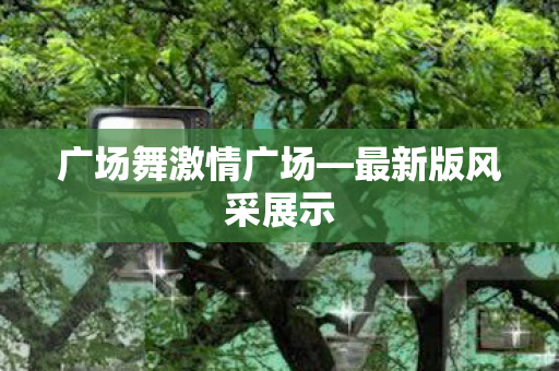 广场舞激情广场图片