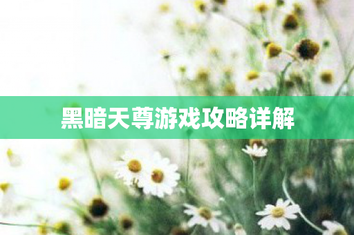 黑暗天尊游戏攻略详解图片