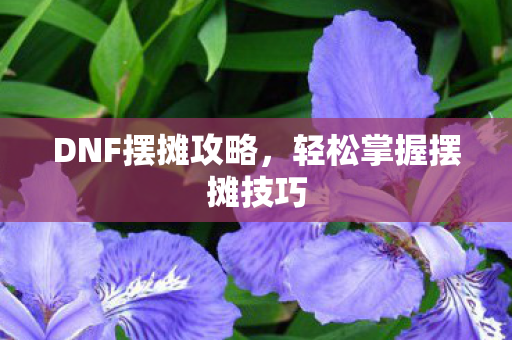 轻松掌握摆摊技巧图片