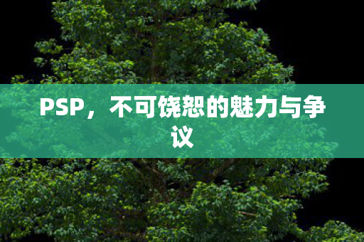 不可饶恕的魅力与争议图片