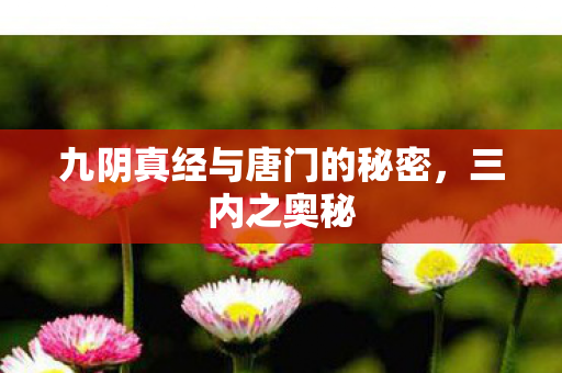 九阴真经与唐门的秘密图片