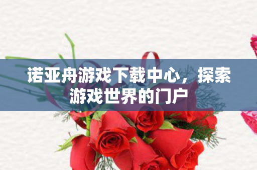 诺亚舟游戏下载中心图片