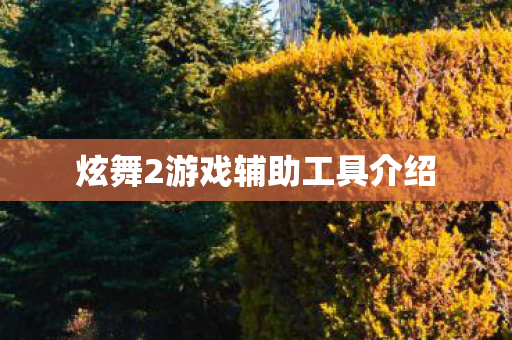 炫舞2游戏辅助工具介绍图片