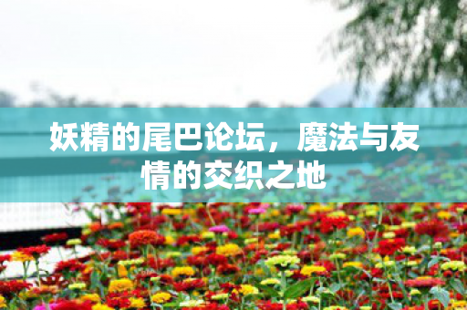 魔法与友情的交织之地图片