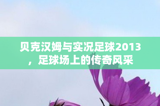 贝克汉姆与实况足球2013图片