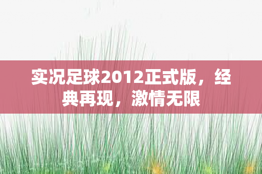 实况足球2012正式版图片