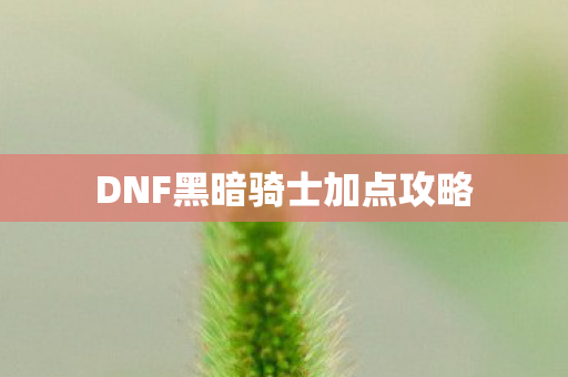 DNF黑暗骑士加点攻略图片