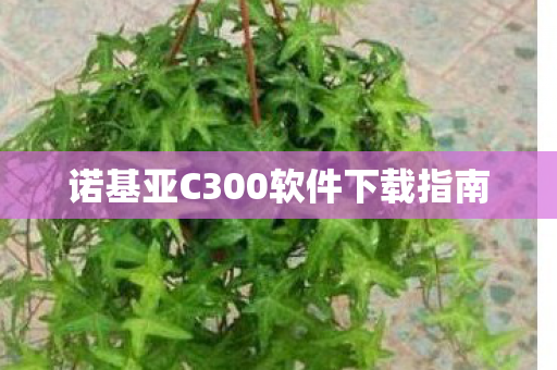 诺基亚C300软件下载指南图片