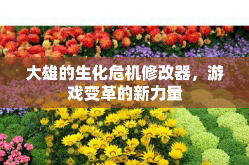 大雄的生化危机修改器图片