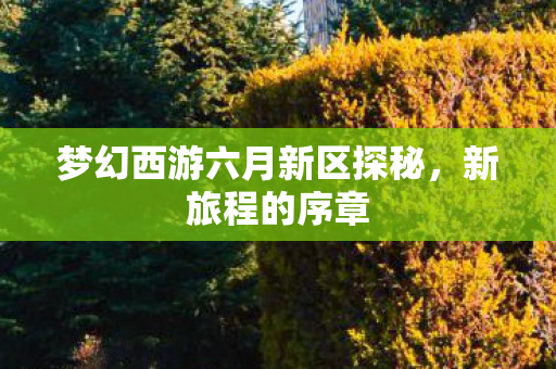 梦幻西游六月新区探秘图片