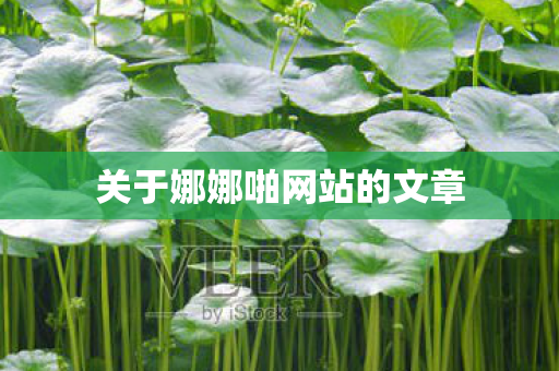 关于娜娜啪网站的文章图片