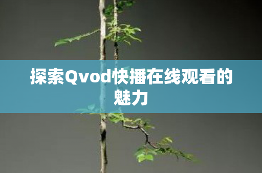 探索Qvod快播在线观看的魅力图片