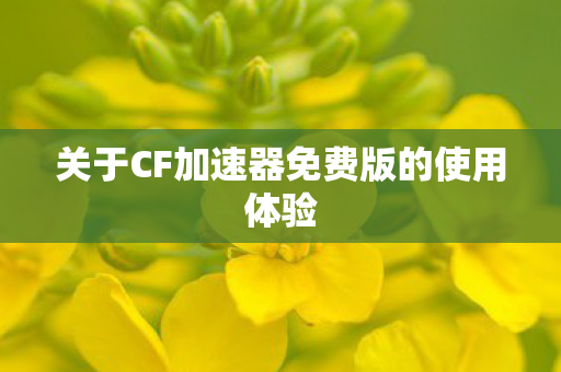 关于CF加速器免费版的使用体验图片