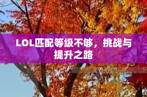 LOL匹配等级不够图片