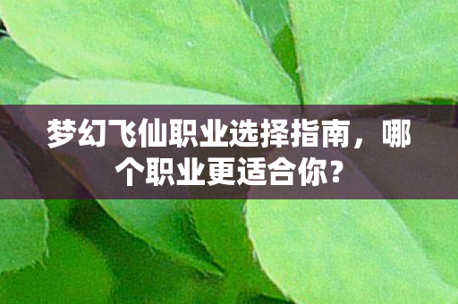 梦幻飞仙职业选择指南图片