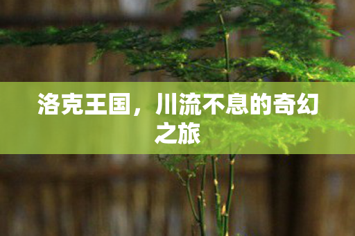 川流不息的奇幻之旅图片