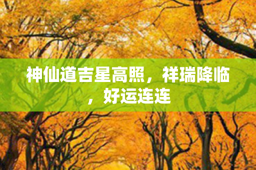 神仙道吉星高照图片