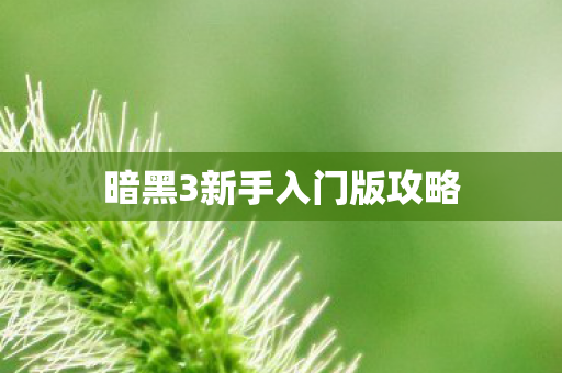 暗黑3新手入门版攻略图片