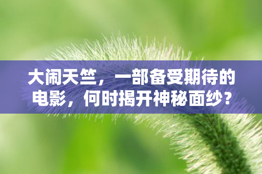 一部备受期待的电影图片