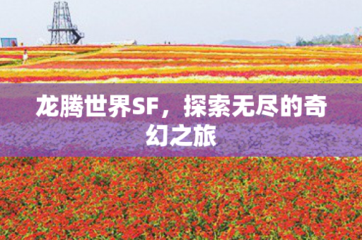 探索无尽的奇幻之旅图片