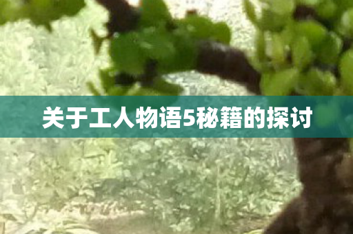 关于工人物语5秘籍的探讨图片