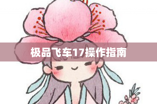 极品飞车17操作指南图片