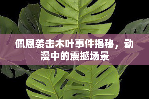 佩恩袭击木叶事件揭秘图片