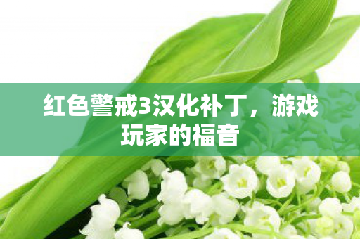 红色警戒3汉化补丁图片