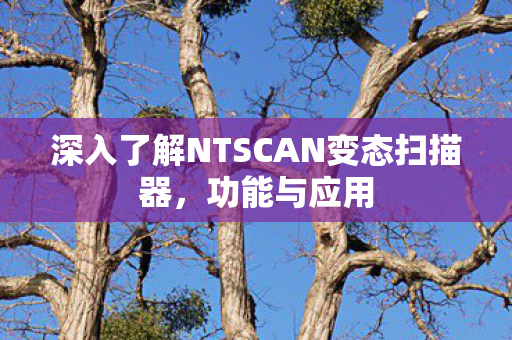 深入了解NTSCAN变态扫描器图片