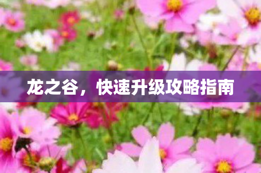 快速升级攻略指南图片