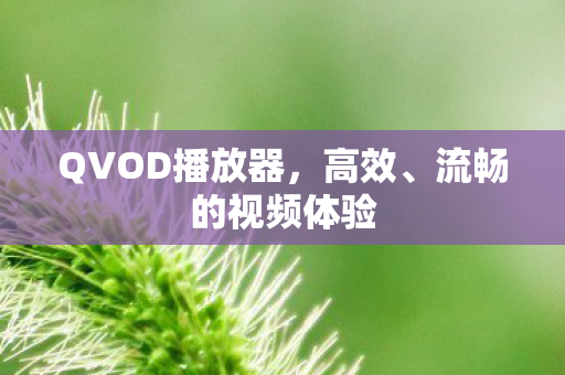 QVOD播放器图片
