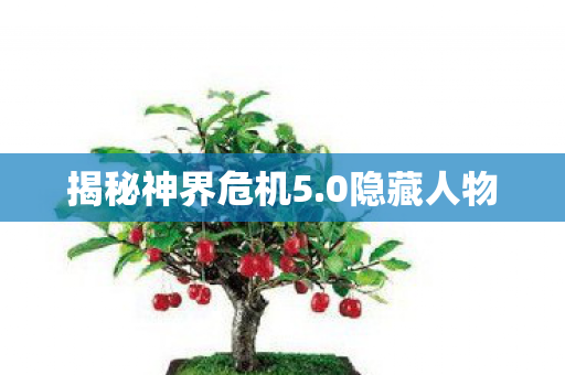 揭秘神界危机5图片