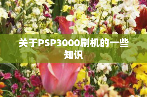 关于PSP3000刷机的一些知识图片