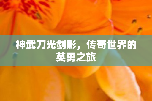 传奇世界的英勇之旅图片